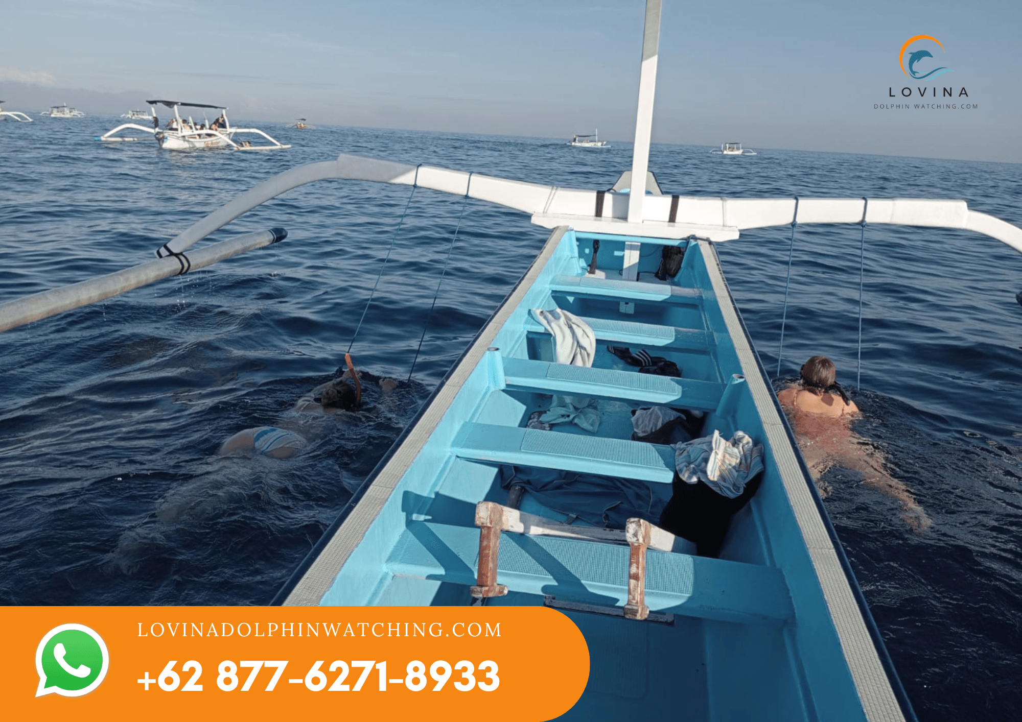 Swimming With Dolphin 1